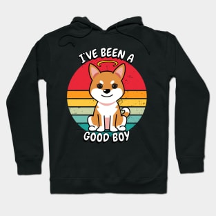 Cute orange dog is a good boy Hoodie